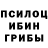 Псилоцибиновые грибы GOLDEN TEACHER Lily Luzan