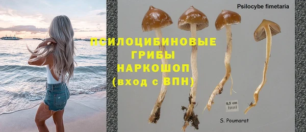 дживик Зеленокумск